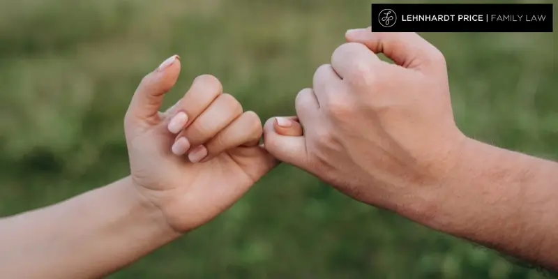 best wesley chapel alienation of affection attorney